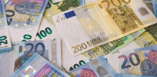euro money