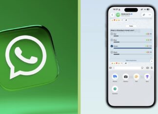 WhatsApp kvíz v chate