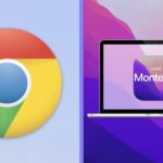 Google Chrome macOS Monterey