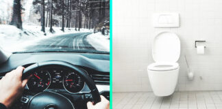 ŠOKUJÚCI OBJAV! Potrebujete na WC? Za volantom ste rovnako nebezpečný ako opitý vodič. soférovanie toaleta