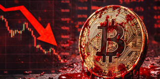 Krvavý február na trhoch: Bitcoin padá do priepasti, Michael Burry varuje pred špirálou smrti Bitcoin