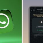 WhatsApp hosťovský chat