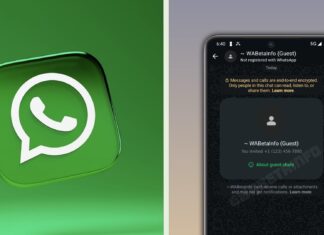 WhatsApp hosťovský chat