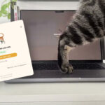 Máte Mac a mačku? Táto absurdná aplikácia rieši problém, ktorý pozná až príliš veľa ľudí Cats Lock