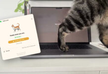 Máte Mac a mačku? Táto absurdná aplikácia rieši problém, ktorý pozná až príliš veľa ľudí Cats Lock