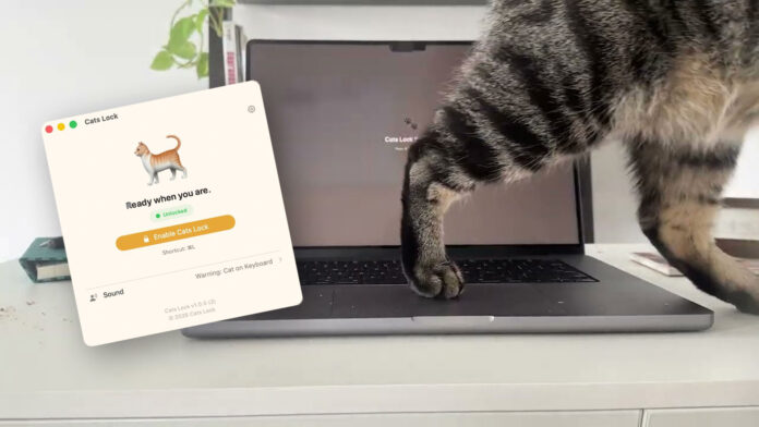 Cats Lock