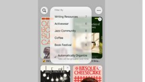 iOS 27 Safari
