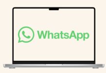 Veľká novinka pre WhatsApp na webe: Skupinové hovory a zdieľanie obrazovky mieria na Mac WhatsApp web