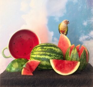 iPhone Photography Awards 2026