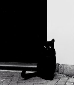 iPhone Photography Awards 2026
